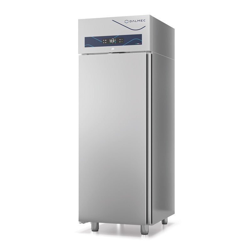 Armoire réfrigérée à glace négative - 900 L - Dalmec