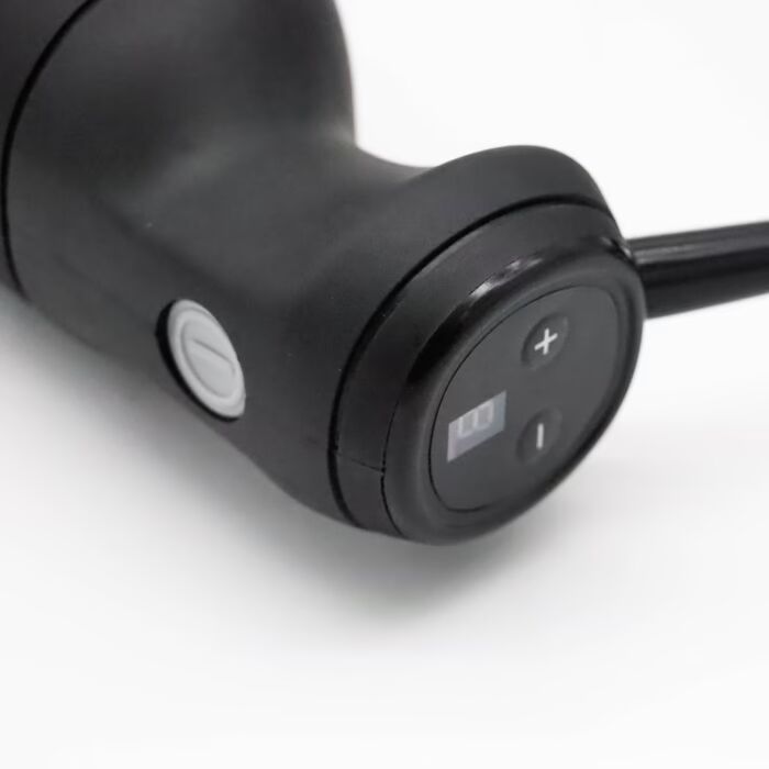 Mixeur plongeant - manche 21 cm - 450W