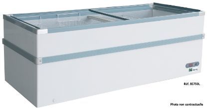 Congélateur bahut BI530L 528 L portes vitrées coulissantes