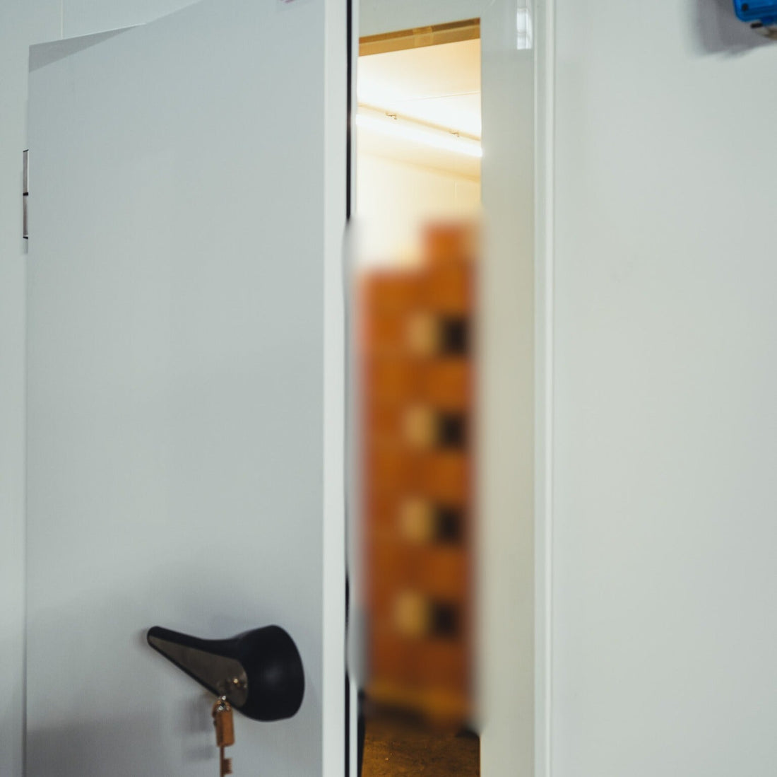 Chambre froide professionnelle positive pour restaurant
