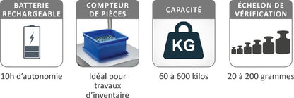 Balance plateforme professionnelle VC 50-4252 Delcoupe