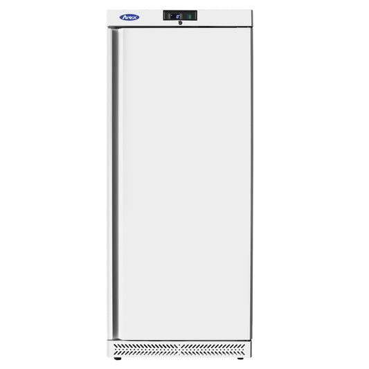 Armoire semi pro positive porte pleine 600l