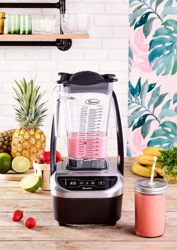 Blender Brushless Compact 66 - Santos