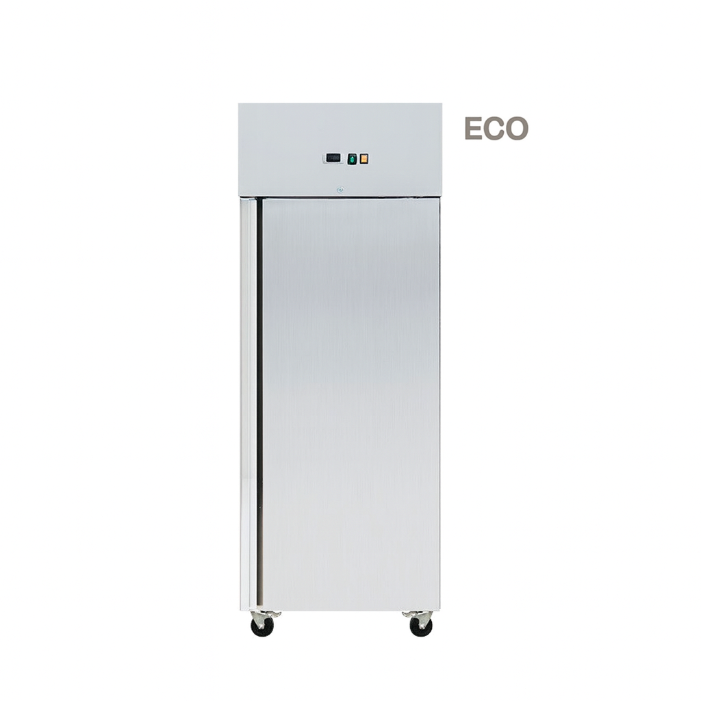 Armoire réfrigérée négative 1 porte Skyrainbow THL650BTEC