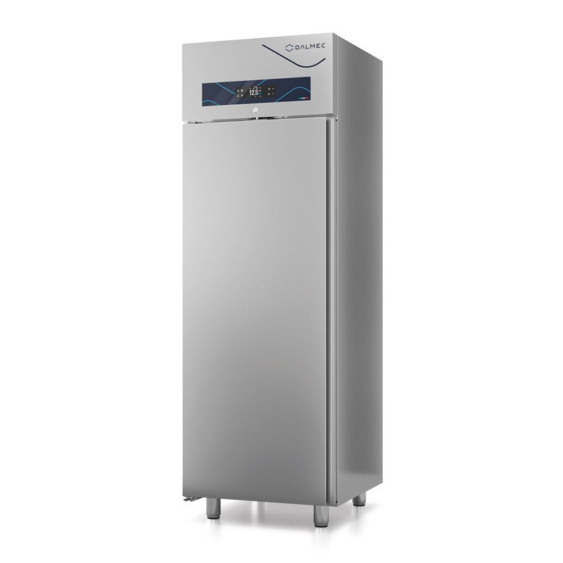 Armoire réfrigérée à glace négative - 700 L - Dalmec