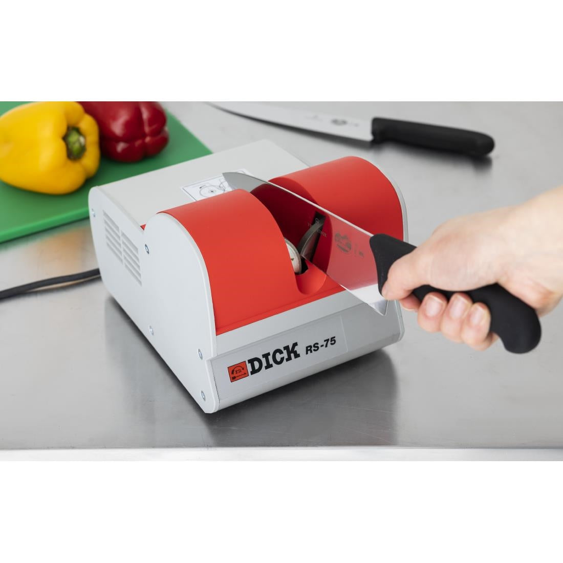 Aiguiseur électrique RS75 Dick - Dick - DL341