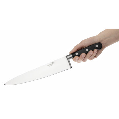 Couteau de cuisinier Deglon Sabatier 255mm - Deglon Sabatier - C007