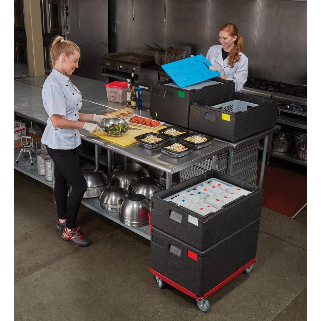 Plaque eutectique froide Cambro GN 1/1 - Cambro - DB152