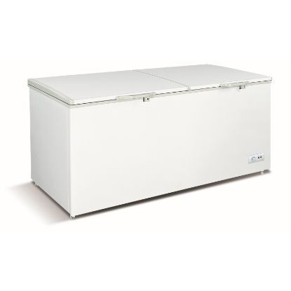 Congélateur bahut XF-650 561 L